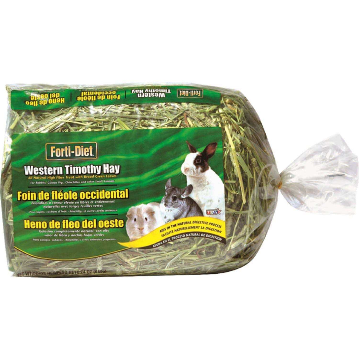 Timothy Hay H334