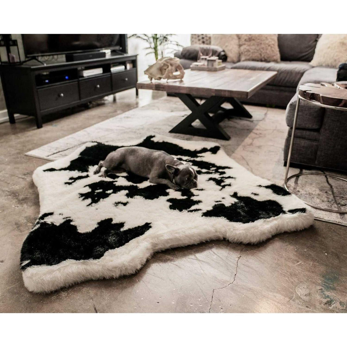 Animal Print Memory Foam Dog Bed D289940