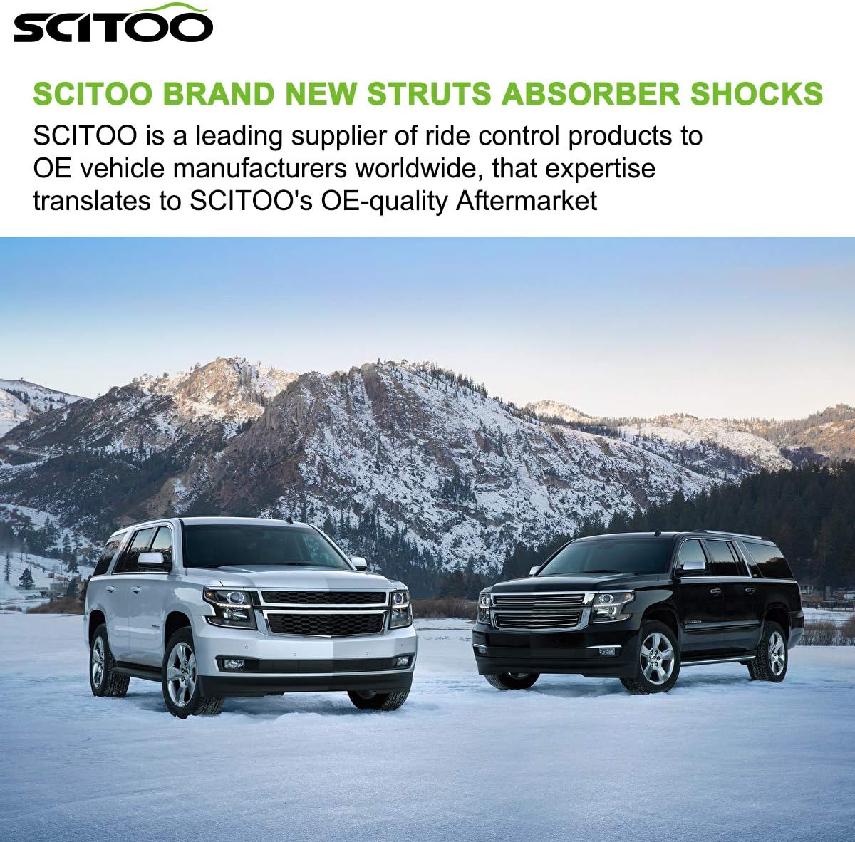 Shocks Absorbers and Struts for Ford Escape Y727