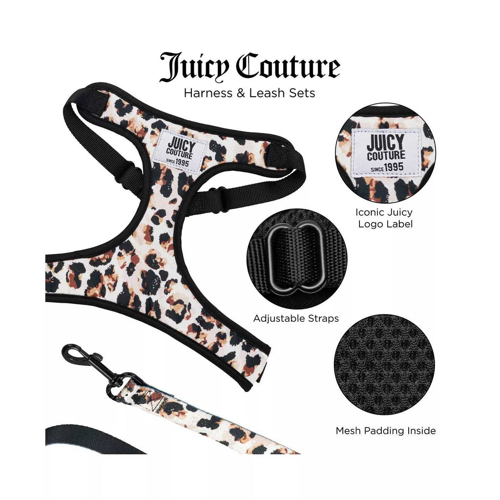 Harness & Leash Set G616