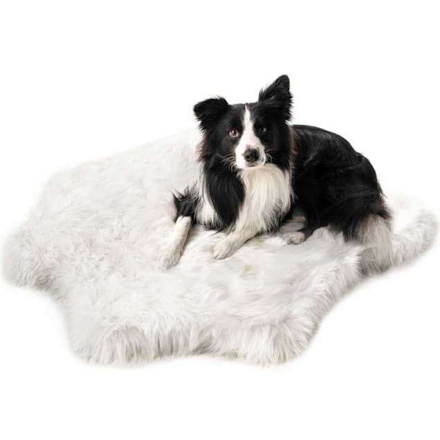 Animal Print Memory Foam Dog Bed D289940