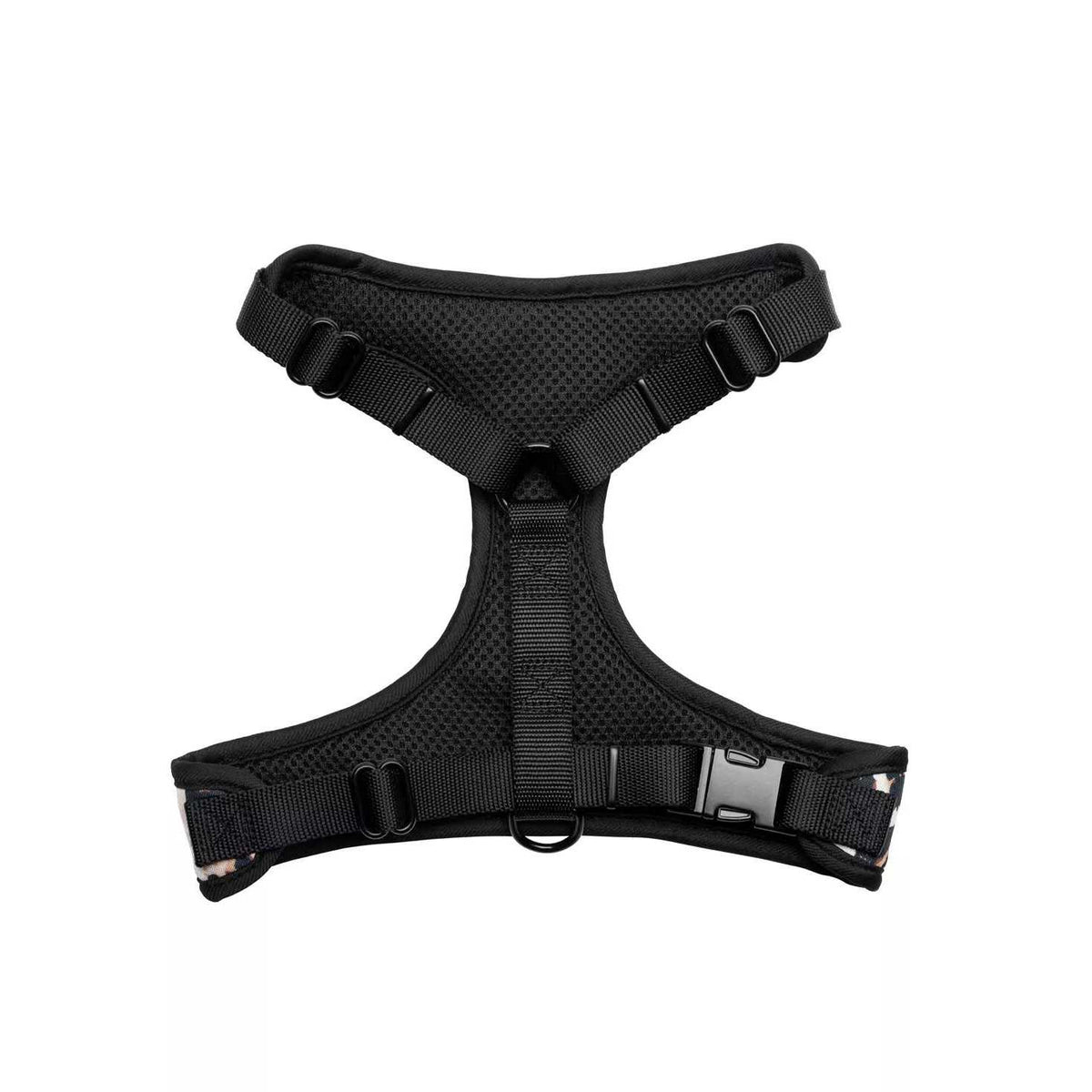Harness & Leash Set G616