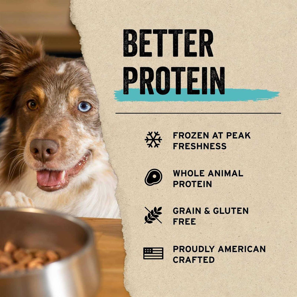 Freeze Dried Raw Salmon Dog Food Topper E605