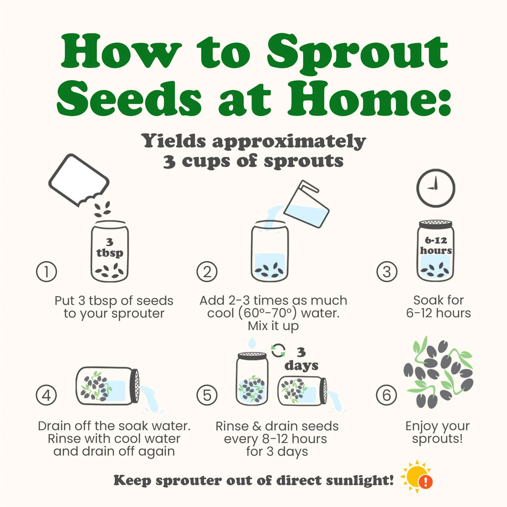 5 Pounds Sprouting Seeds Salad Mix O307