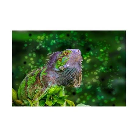 Canvas Art U3020