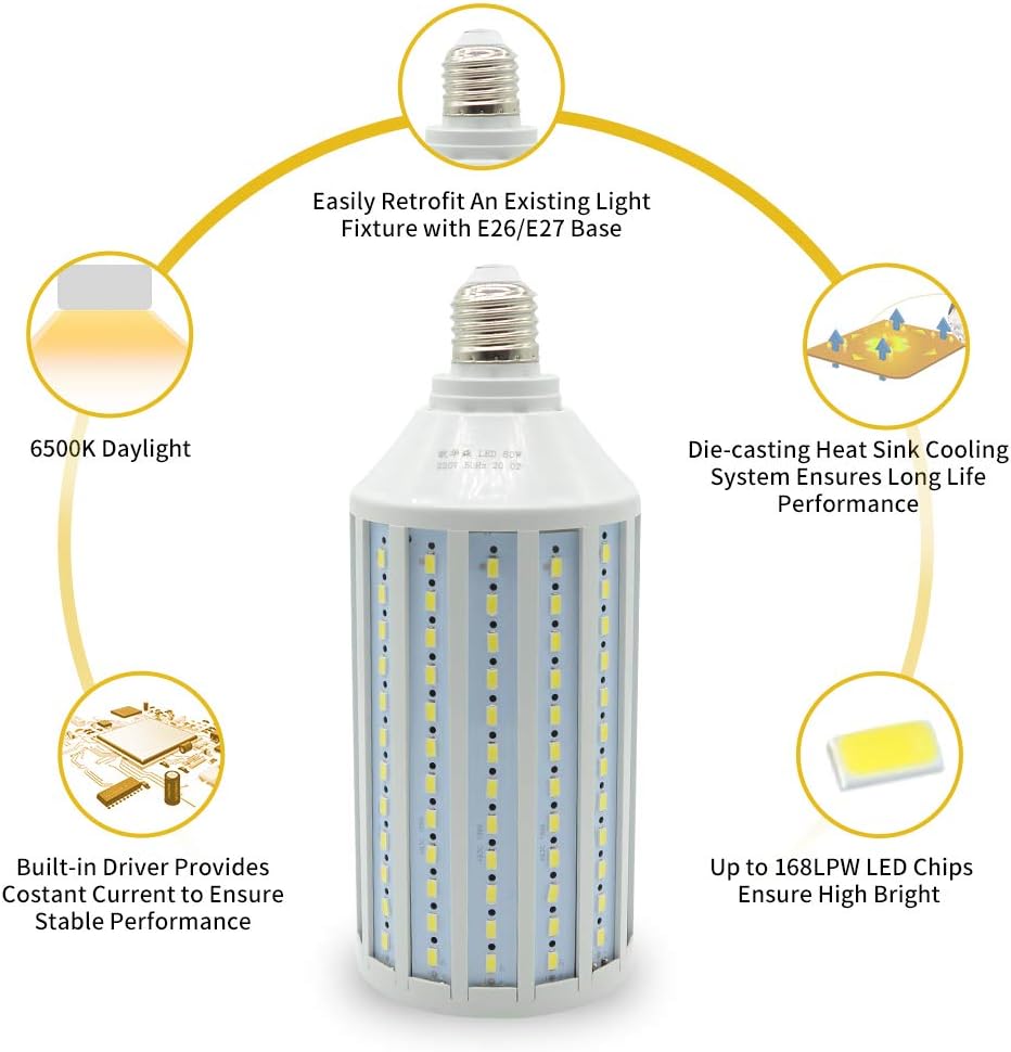 LED Softbox Photography Lighting Kit with 20"X28" Reflector and 80W 6500K Corn Light Bulbs Pack of 2 N356