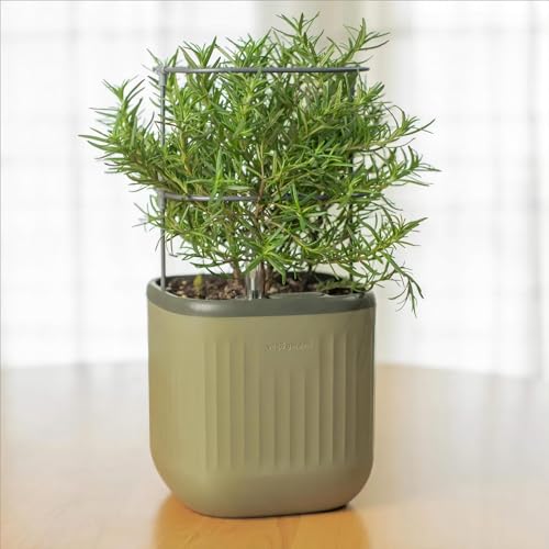 Sage Green Self-Watering Indoor Planter with Trellis Z338444