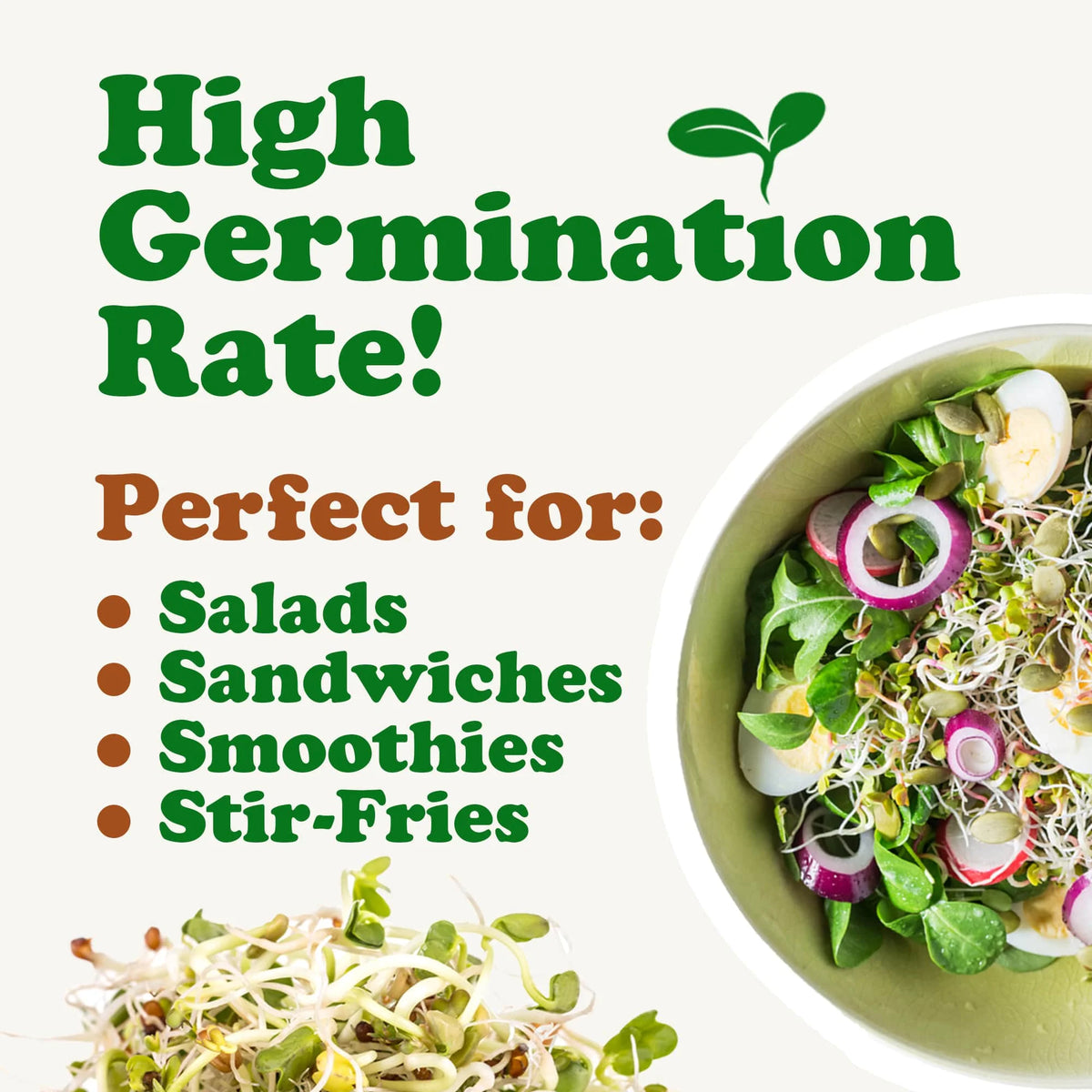 5 Pounds Sprouting Seeds Salad Mix O307