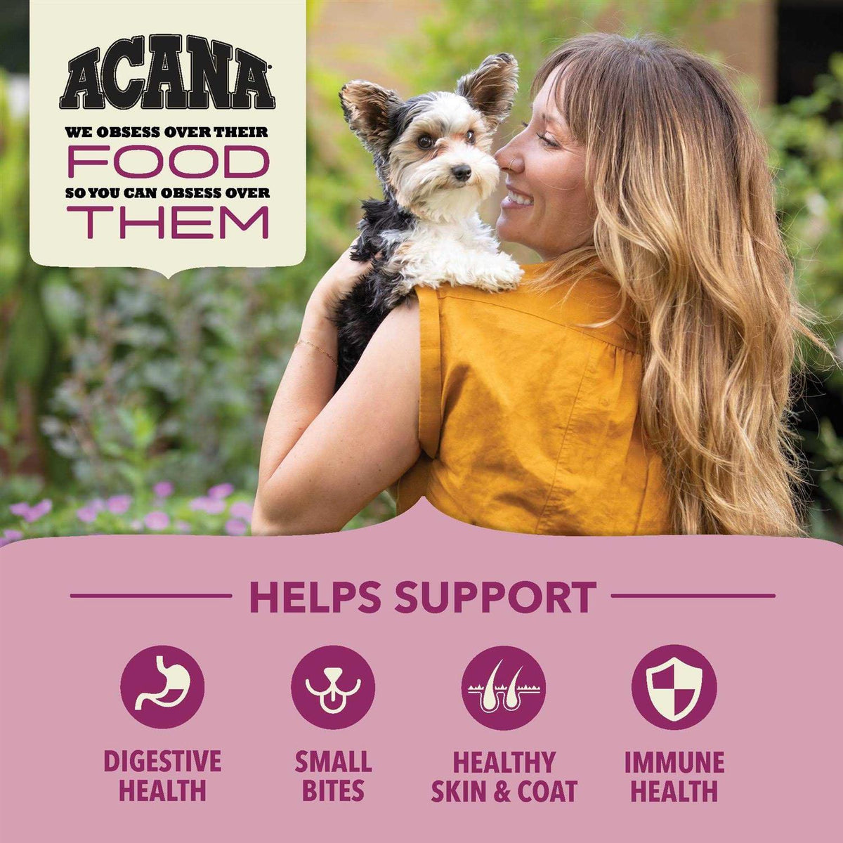 Dry Dog Food I374561