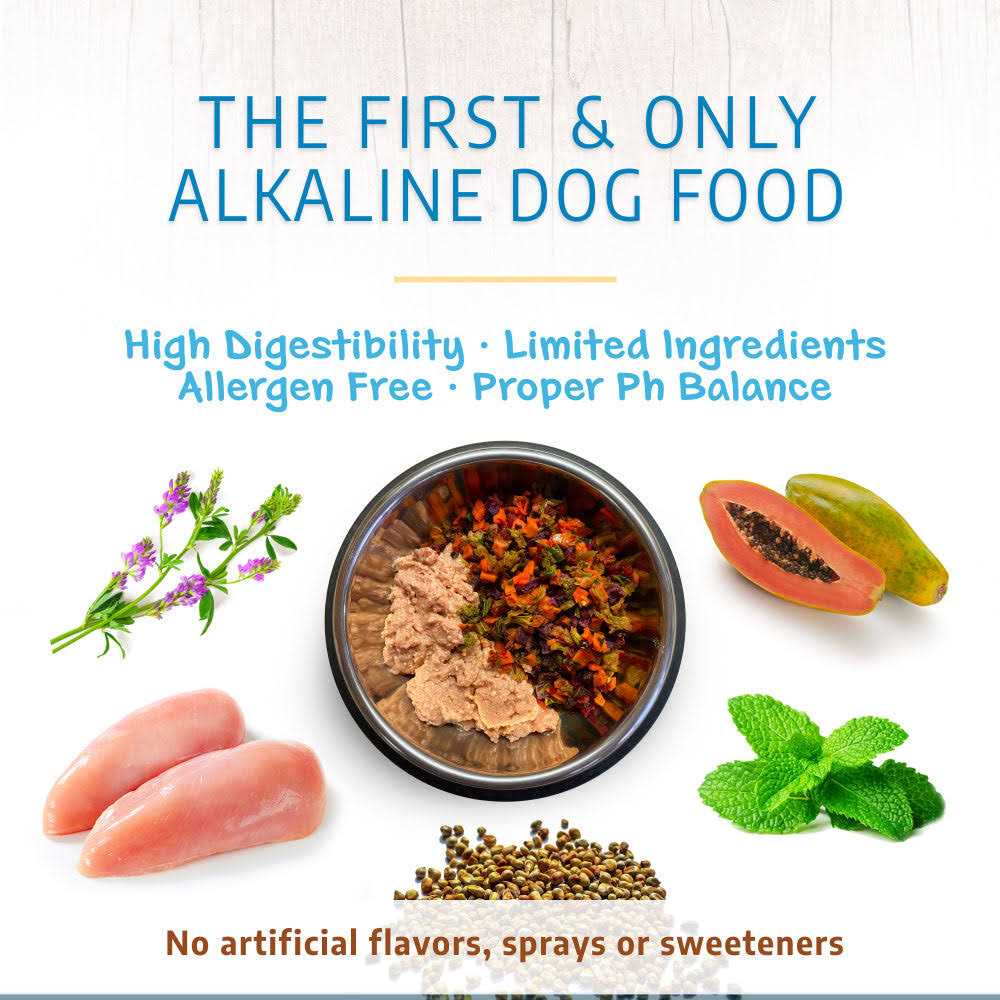 Holistic Dry Dog Food R79861