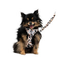 Harness & Leash Set G616