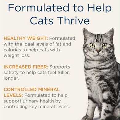 Grain-Free Weight Management Urinary Care Canned Cat Food Case of 24 O9413