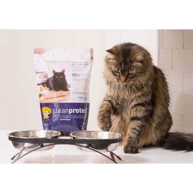 Chicken Formula Dry Cat Food B137