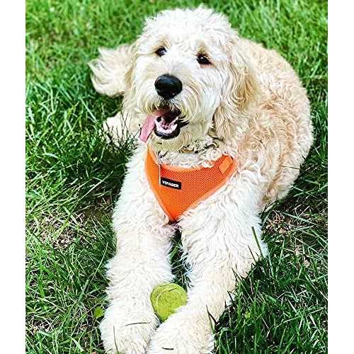 Adjustable All Weather Mesh Step-in Pet Harness B791330