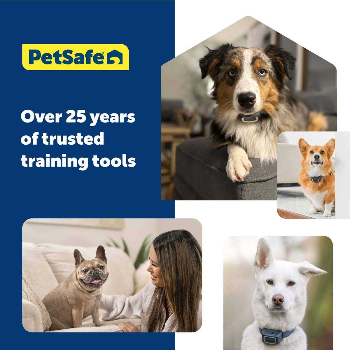 Dog Remote Trainer V512