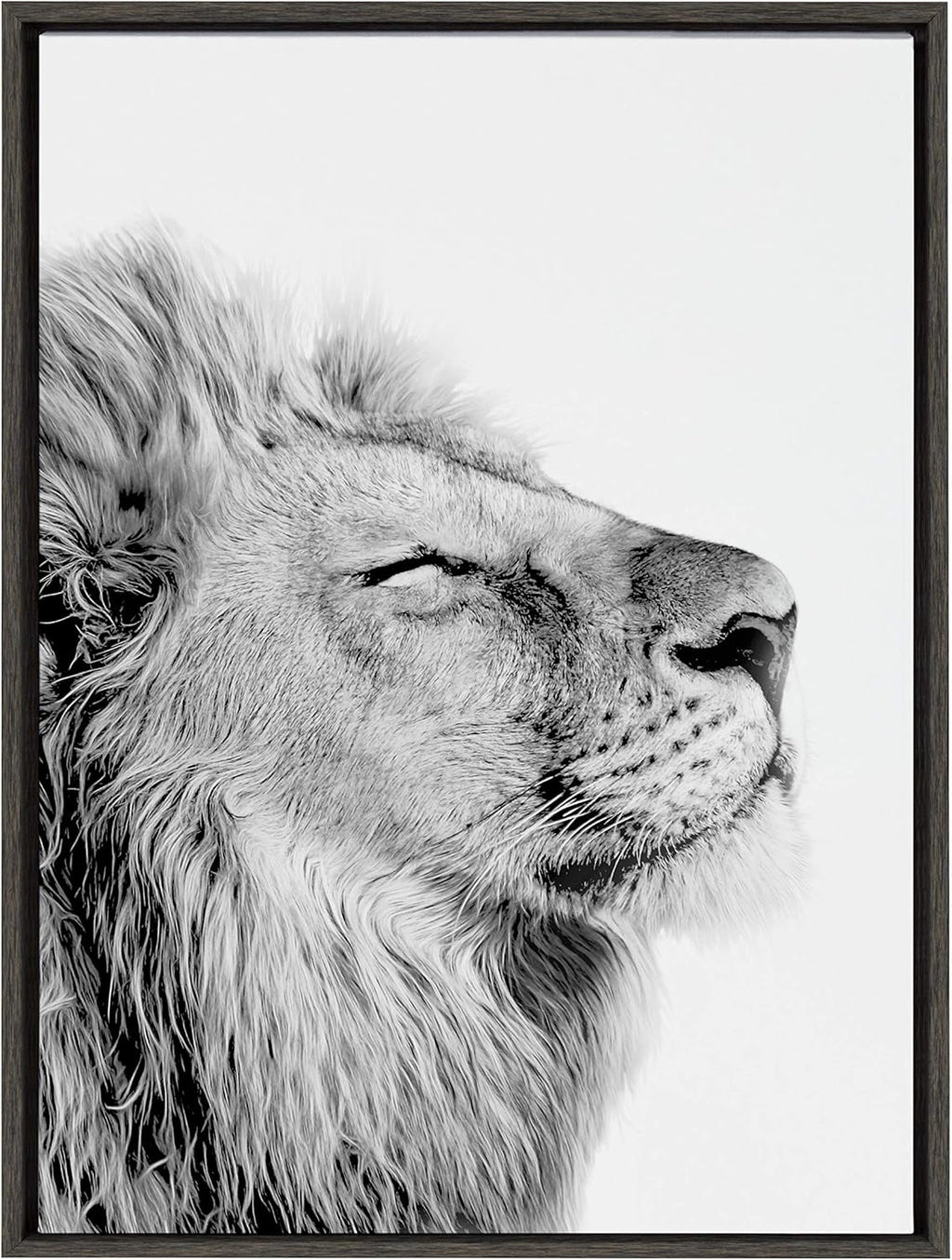 Black and White Lion Print Framed Canvas Wall Art T2516