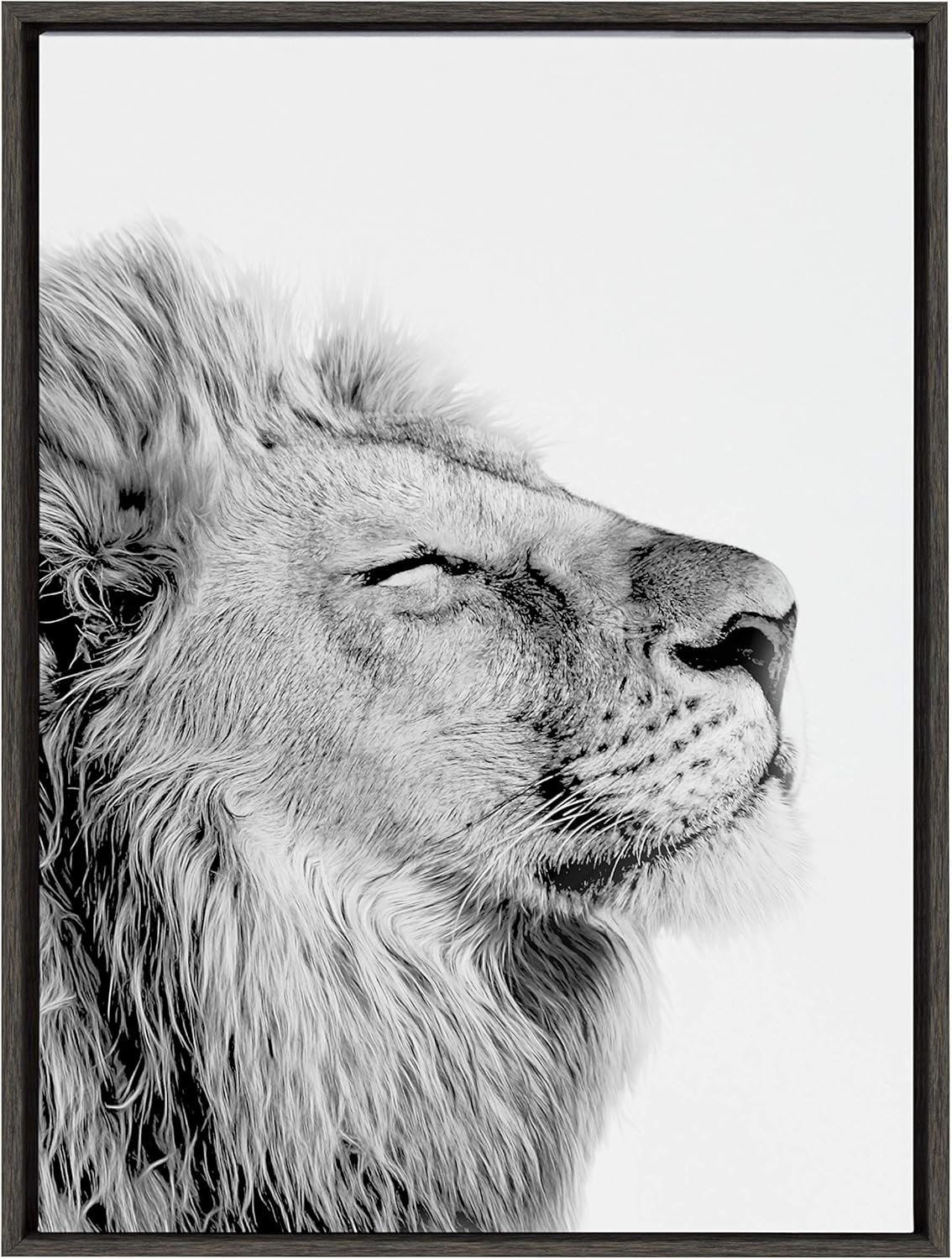 Black and White Lion Print Framed Canvas Wall Art T2516
