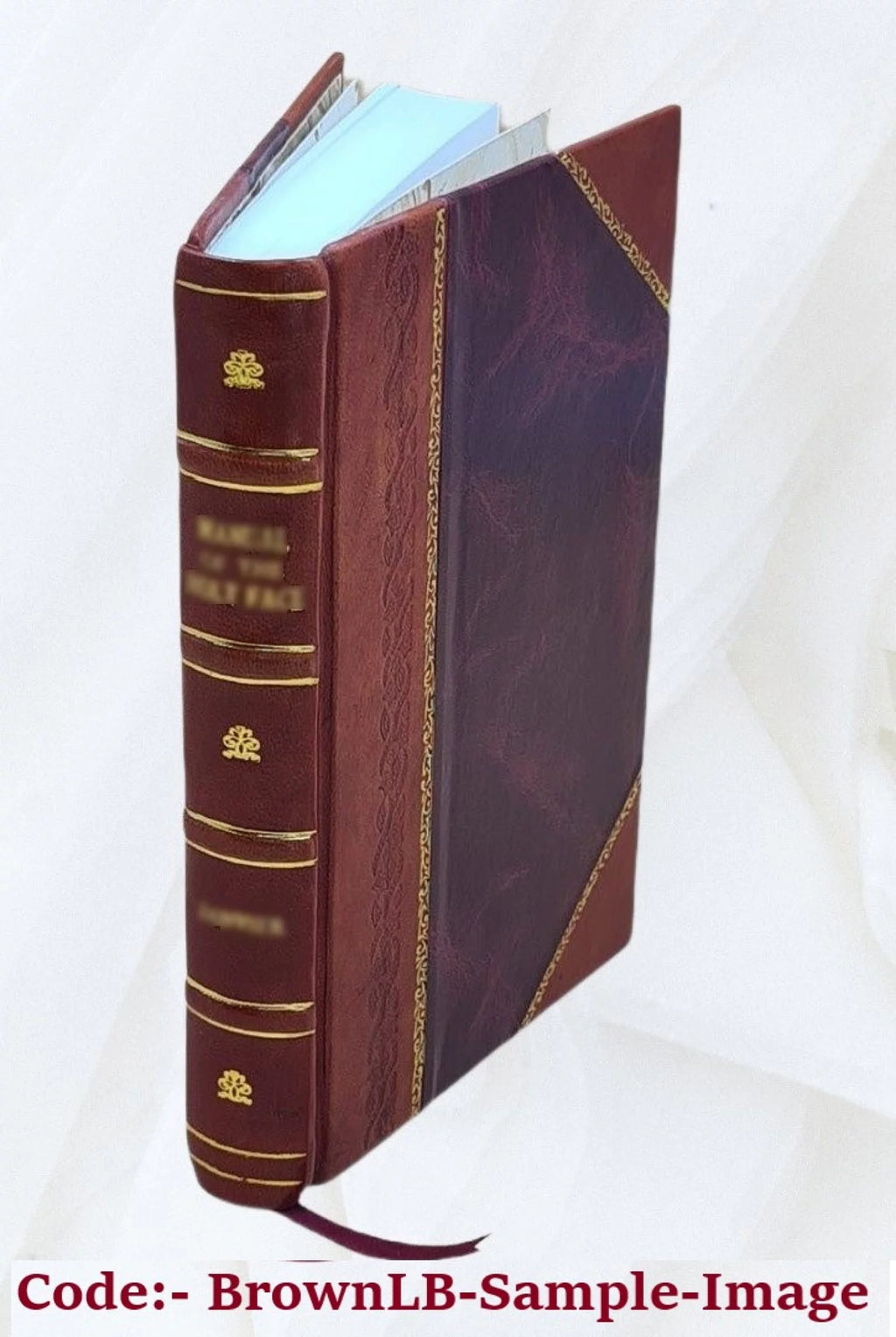 Description du chateau de Versailles Leather Bound Q98647
