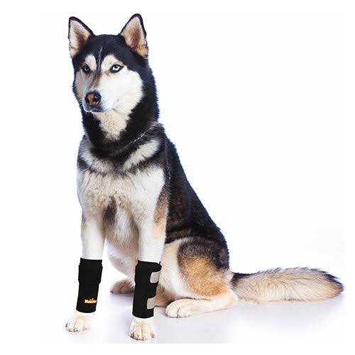 Dog Front Leg Braces and Support T801469
