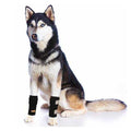 Dog Front Leg Braces and Support T801469