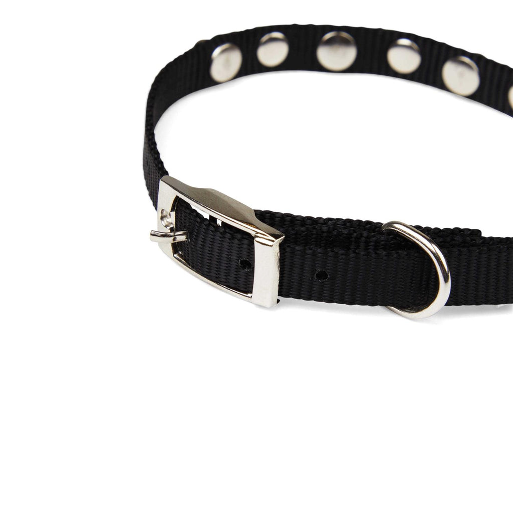 Black Bling Dog Collar O7770