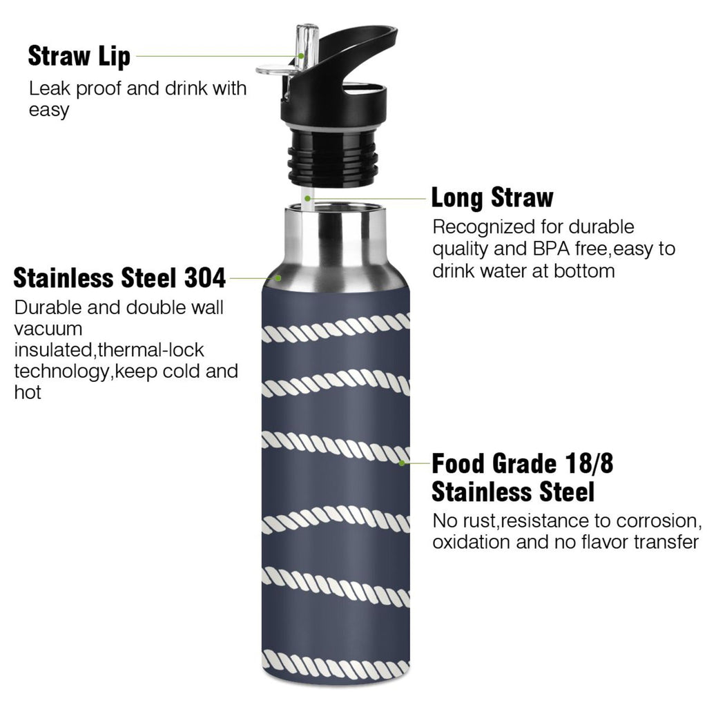 20 OZ Stainless Steel Vacuum Insulated Water Bottle with Straw Lid V243330