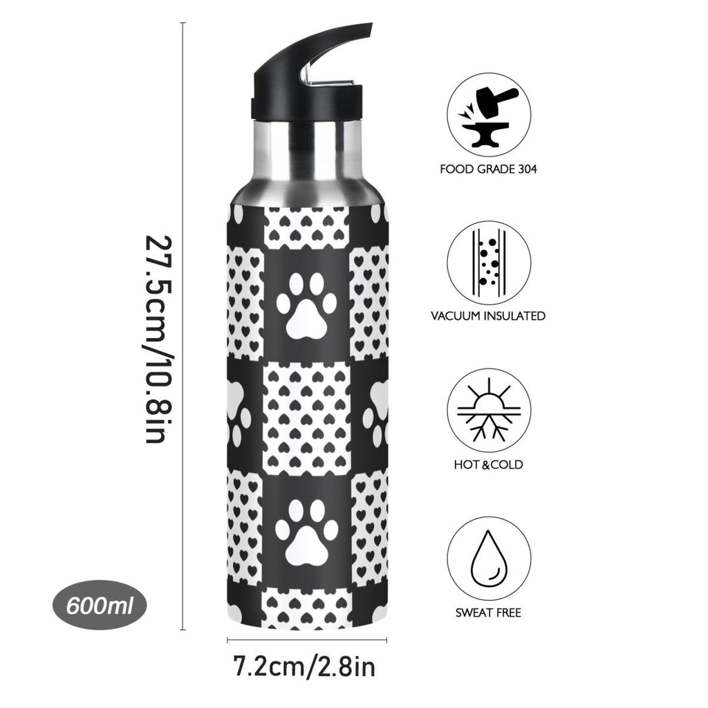 20 OZ Stainless Steel Water Bottle with Straw Lid E770