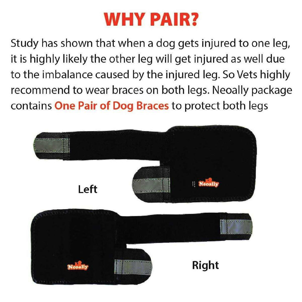 Dog Front Leg Braces and Support T801469