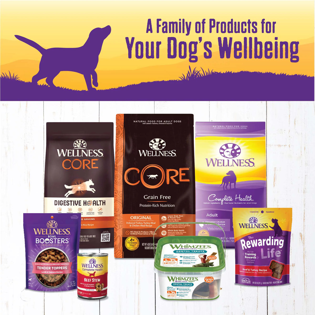 Natural Canned Dog Food Turkey Stew 12.5 Ounce Pack of 12 G918427