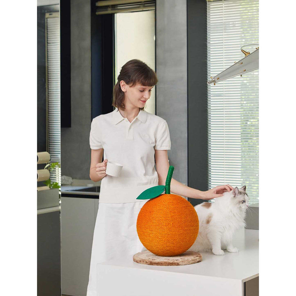 Cat Scratching Ball Toy E11491