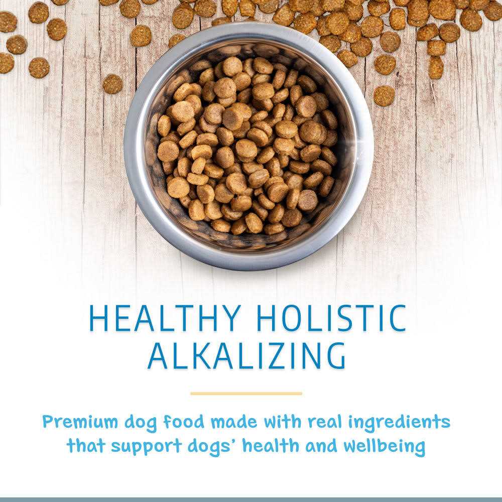Holistic Dry Dog Food R79861