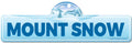 Mount Snow Street Sign Indoor Outdoor Skiing Skier Snowboarder Décor G883