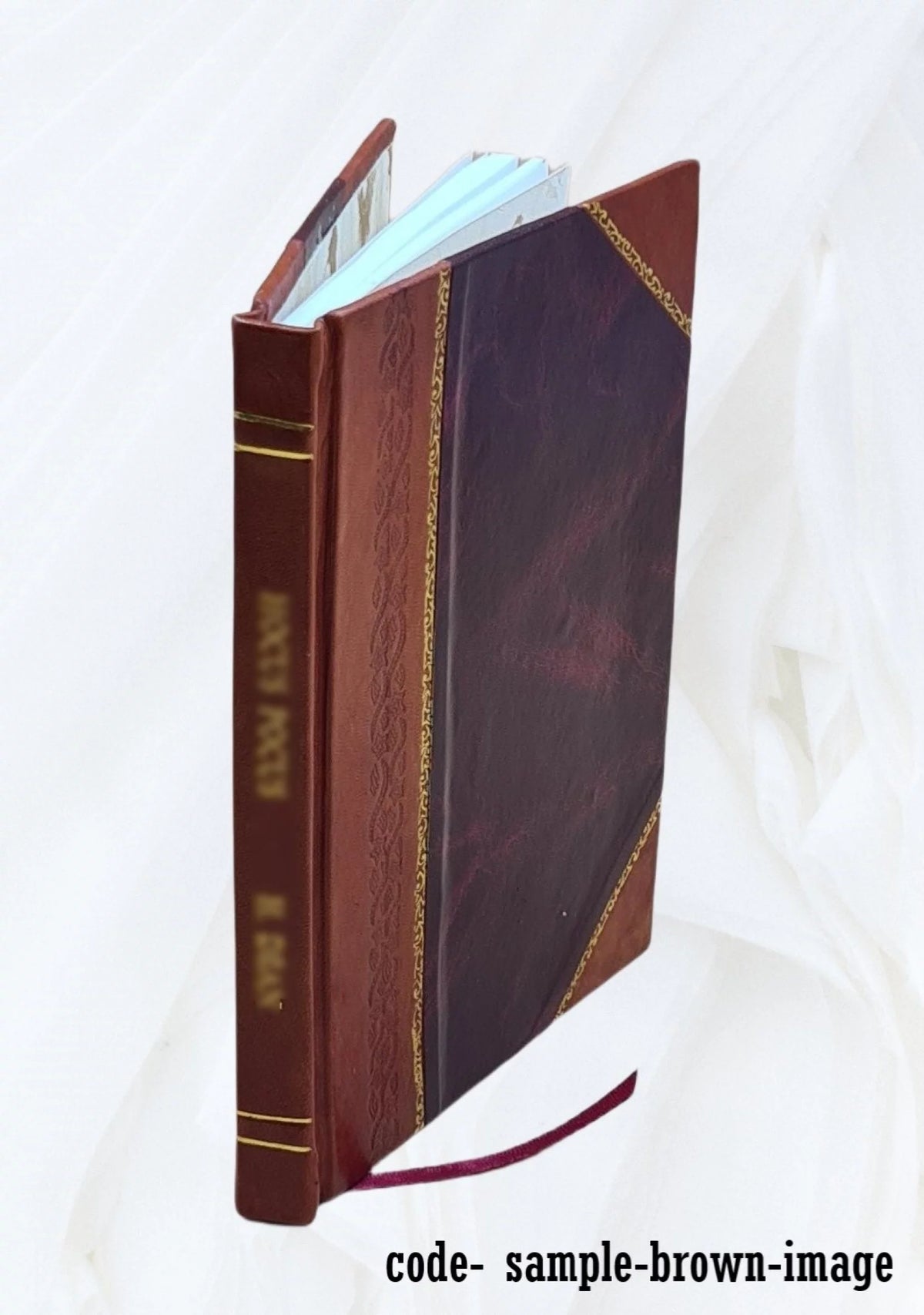 Scientific Institutions of Boston and Vicinity 1898 Leather Bound U836