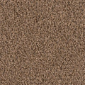 18 in. x 18 in. Peel and Stick Carpet Tile (10 Tiles/Case) D227