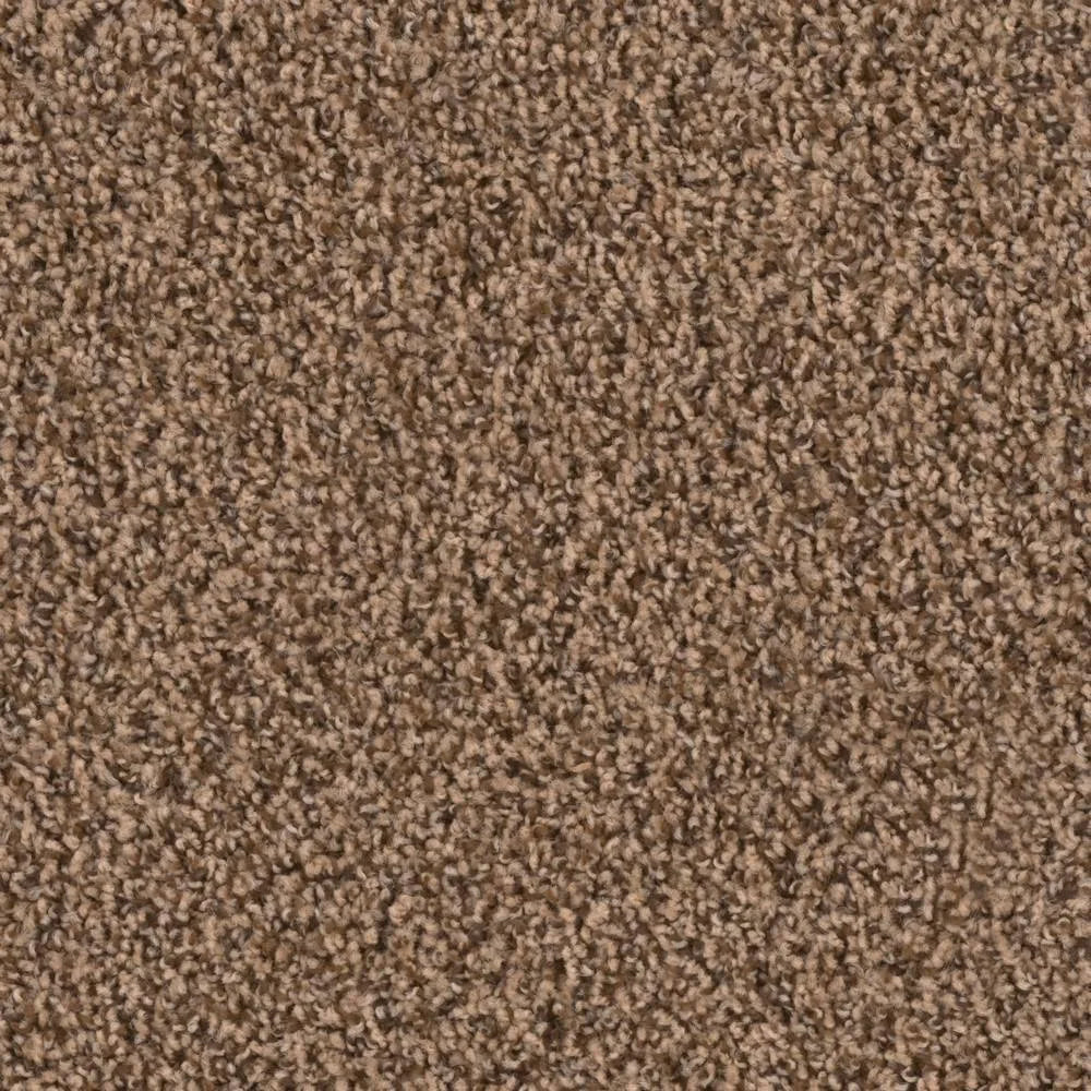 18 in. x 18 in. Peel and Stick Carpet Tile (10 Tiles/Case) D227