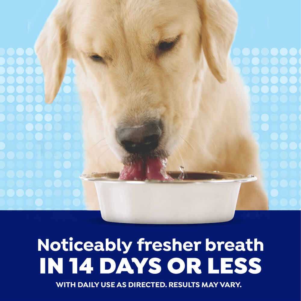 Fresh Dental Water Additive X42684