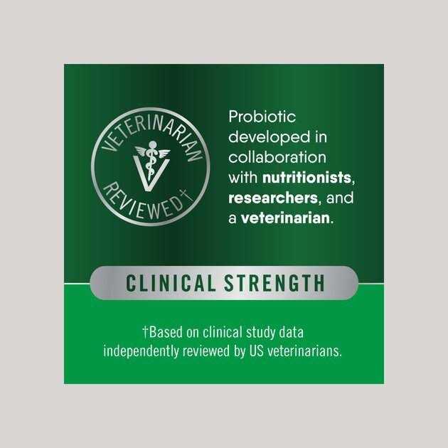 Probiotic Supplement Powder for Dogs V962