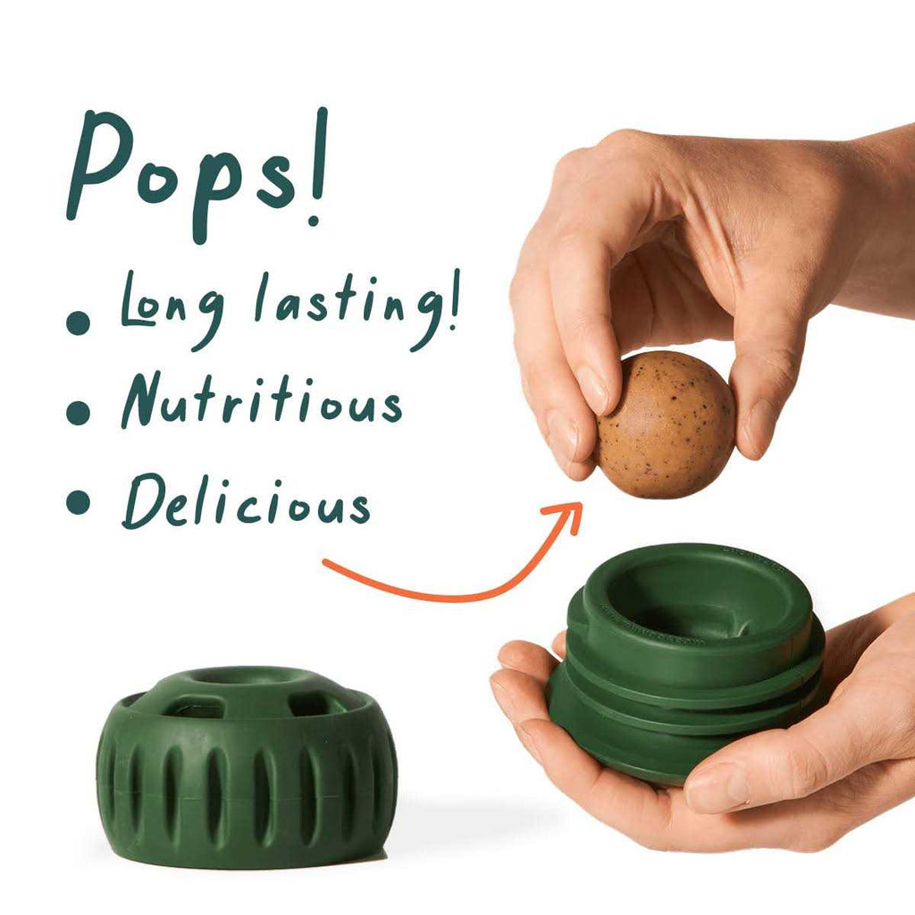 Pupsicle Starter Pack Treat M87739