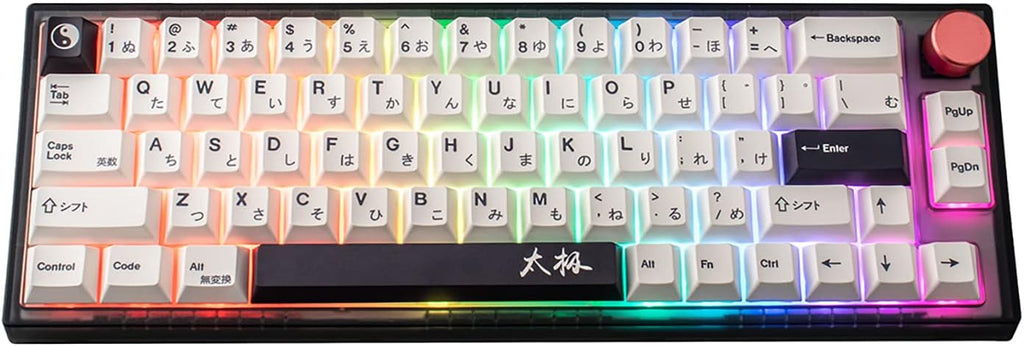 RGB Mechanical Keyboard 66keys Hot-Swappable Tri-Mode K300513