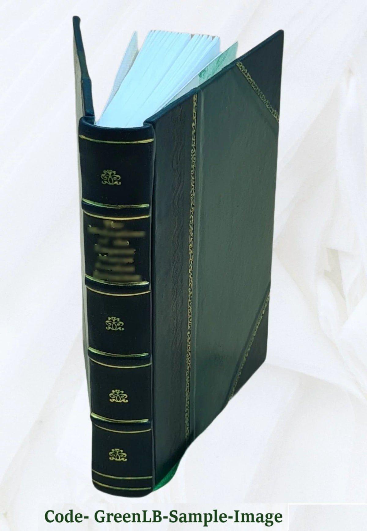 19th Century Works and Men Volume 13 Leather Bound T6637