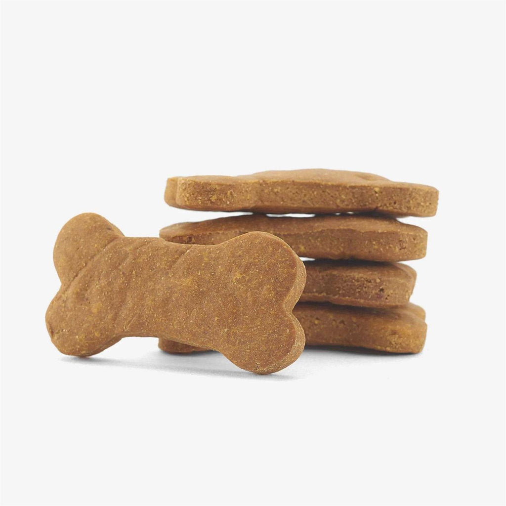 Pumpkin Biscuits Dog Treats E99690