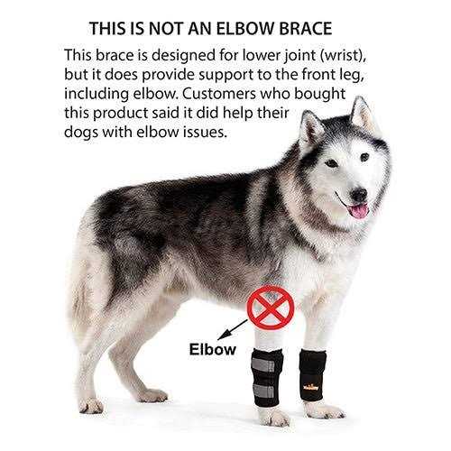 Dog Front Leg Braces and Support T801469